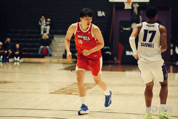 杨瀚森28分钟10中5砍14分6板 混音不敌国王